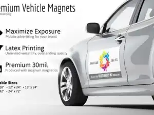 Magnet Printing